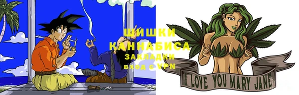шишки Тихвин