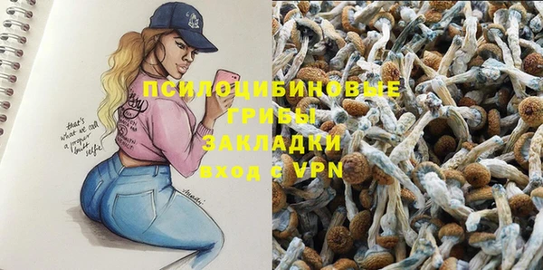 марки lsd Тобольск