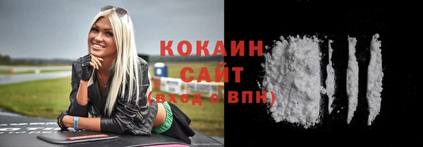 шишки Тихвин