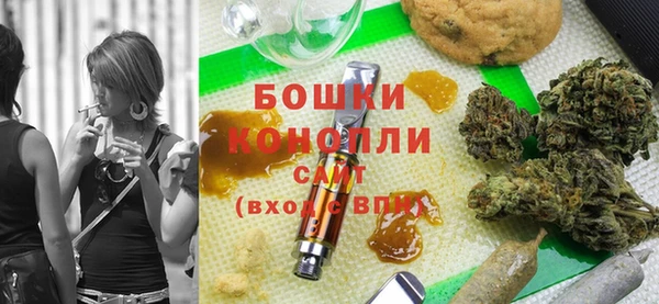 шишки Тихвин