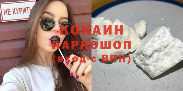 шишки Тихвин