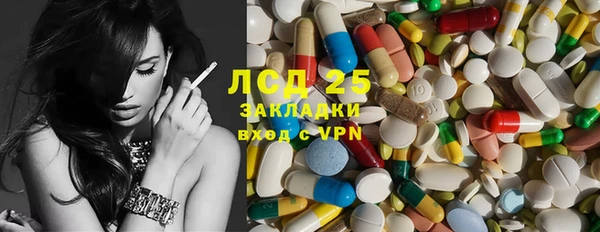 шишки Тихвин