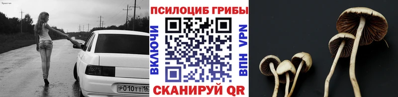 цены наркотик  Безенчук  Псилоцибиновые грибы ЛСД 